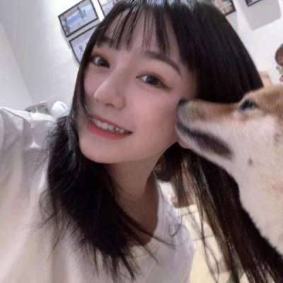 方舟之旅满v公益服下载
